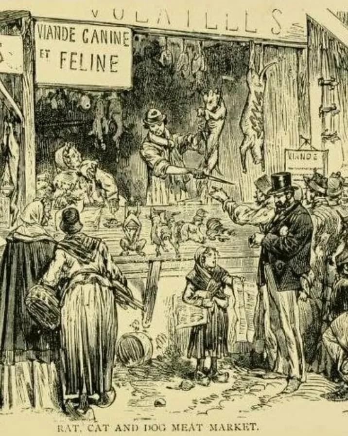 Gravura de um açougue de Paris em 1870 vendendo carne de cães, gatos e ratos a uma fila de moradores