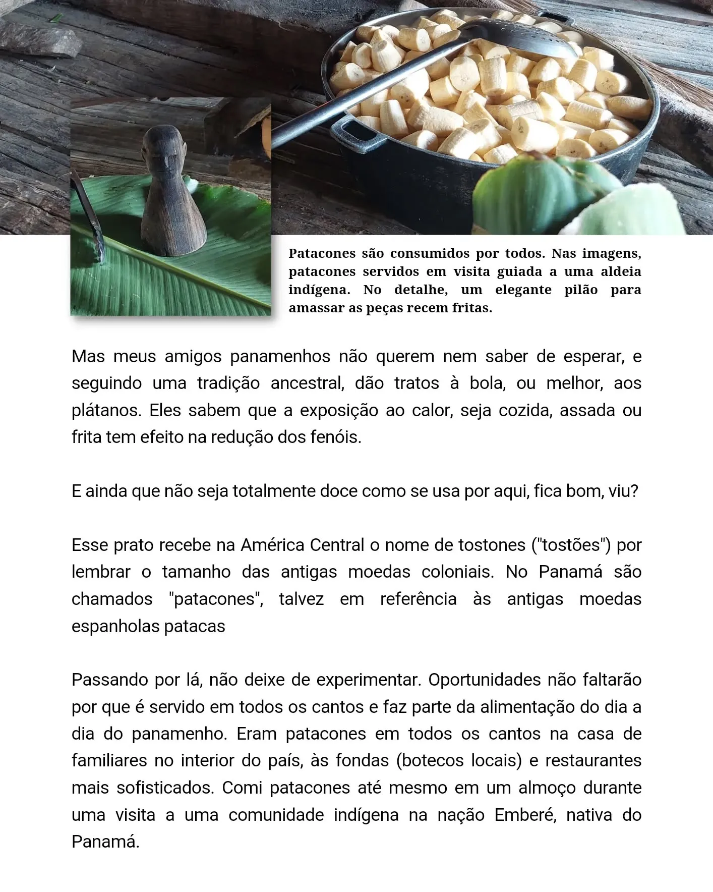 Lâmina 2 do carrossel Patacones, com a foto de uma panela de plátanos fritos e um pilão de madeira