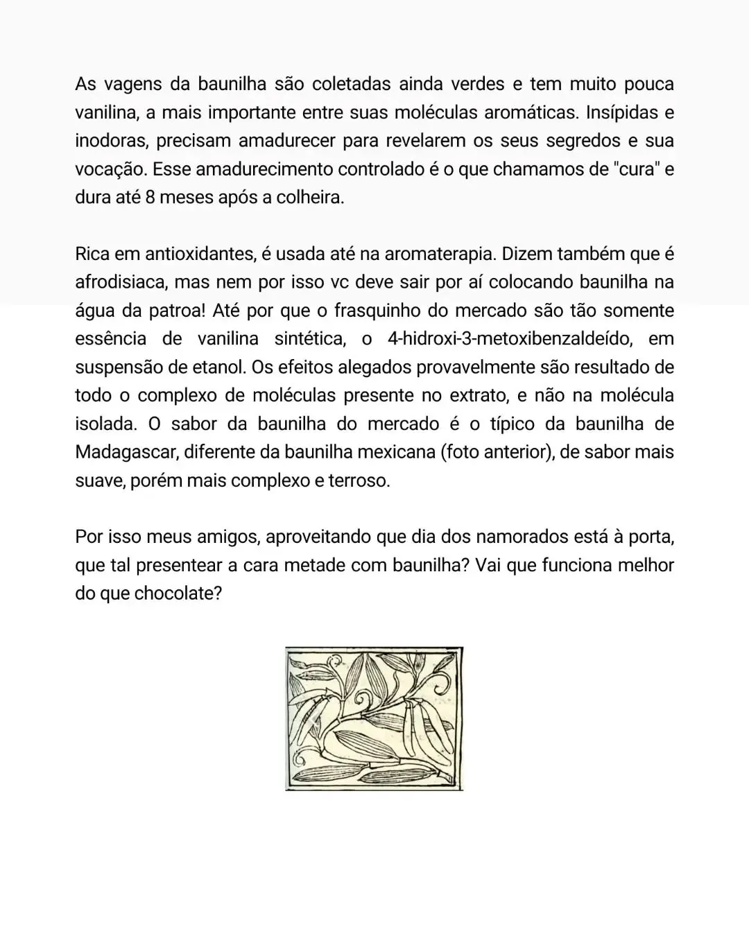 Lâmina 3 do carrossel, com o fim do texto e uma pequena gravura antiga de vagens de baunilha