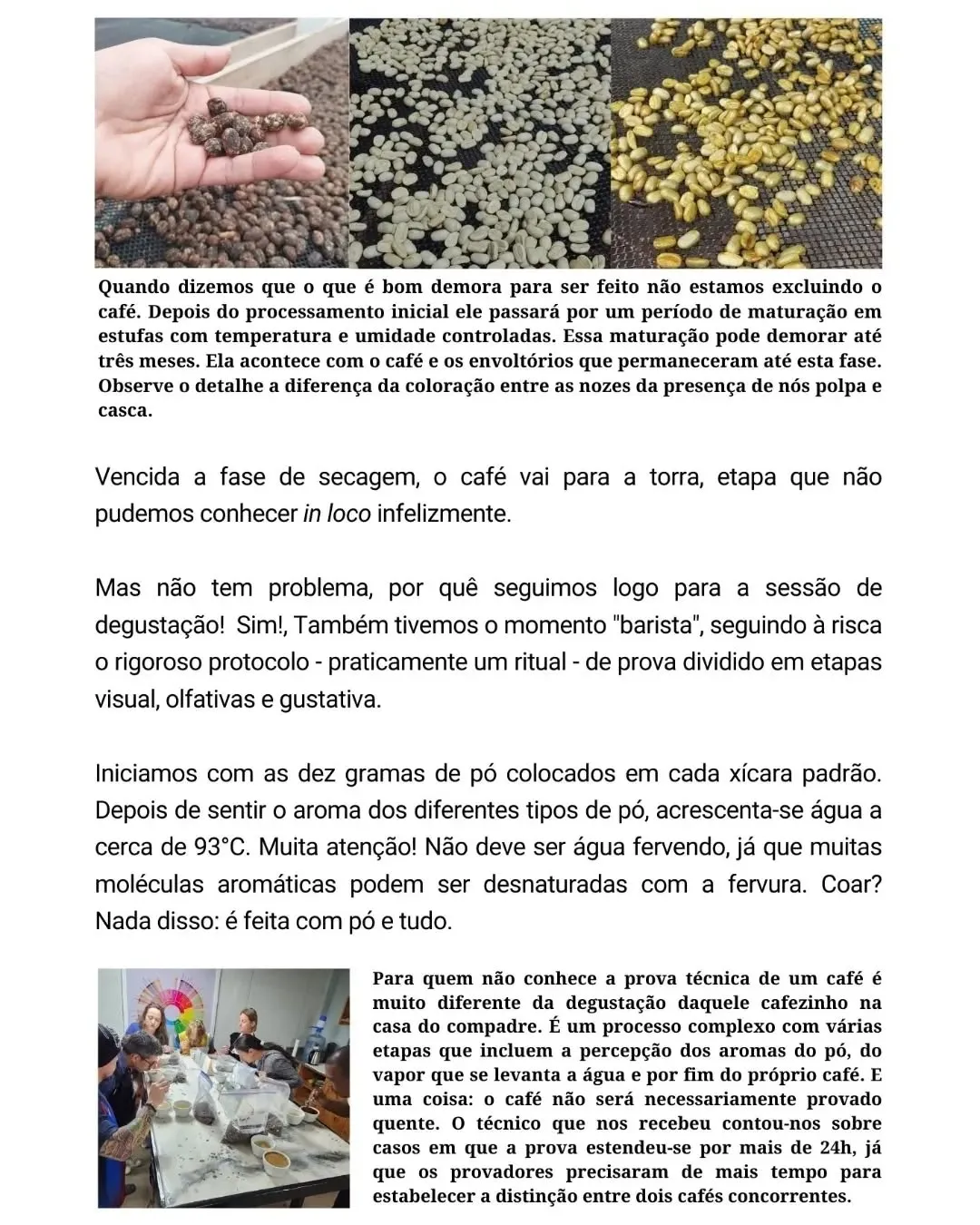 Lâmina 3 do carrossel, com grãos secando em estufas e pessoas numa mesa de prova de café